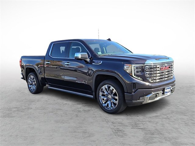 2023 Gmc Sierra 1500 Denali photo 3