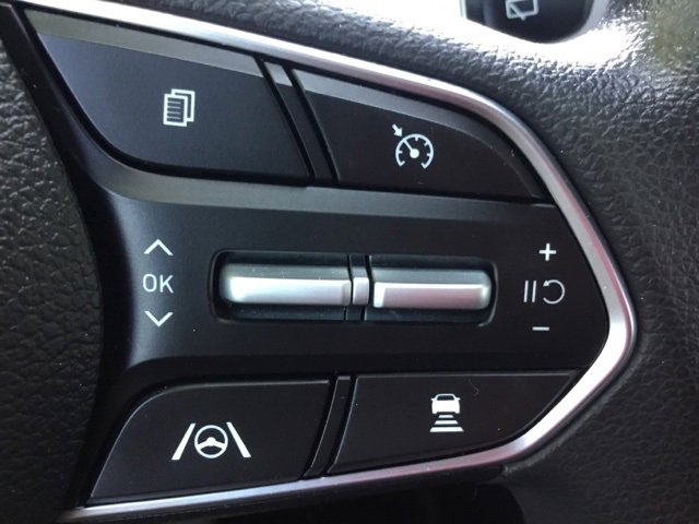 2021 Hyundai Santa Fe SEL photo 11