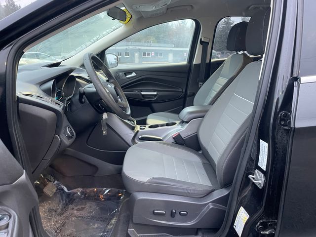 2014 Ford Escape SE photo 2