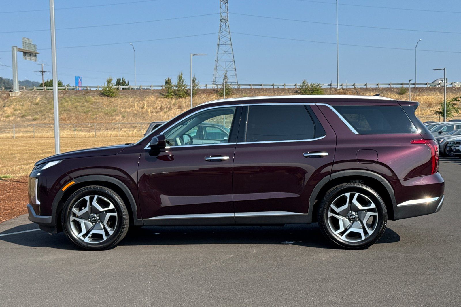 2023 Hyundai Palisade Limited photo 6