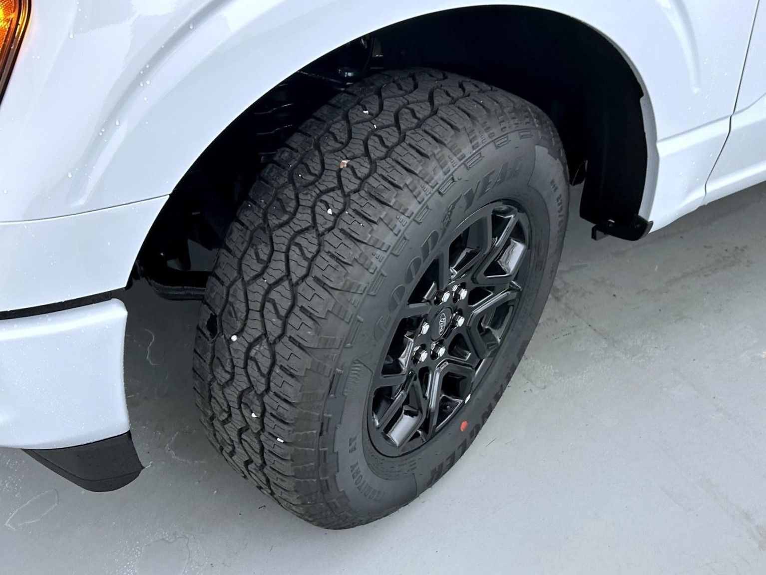 2025 Ford F-150 STX photo 19
