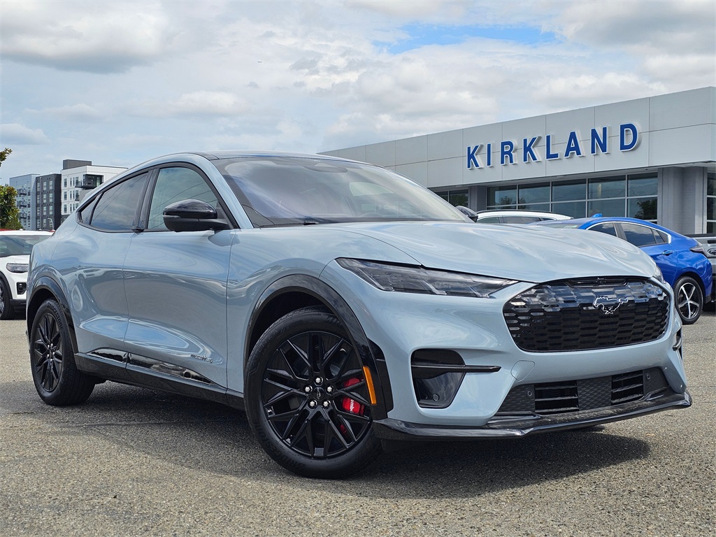 2025 Ford Mustang Mach-E Premium AWD's photo