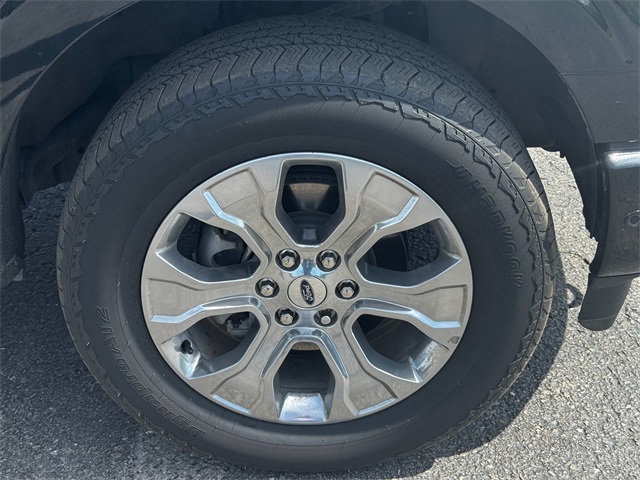 2021 Ford F-150 Platinum photo 8