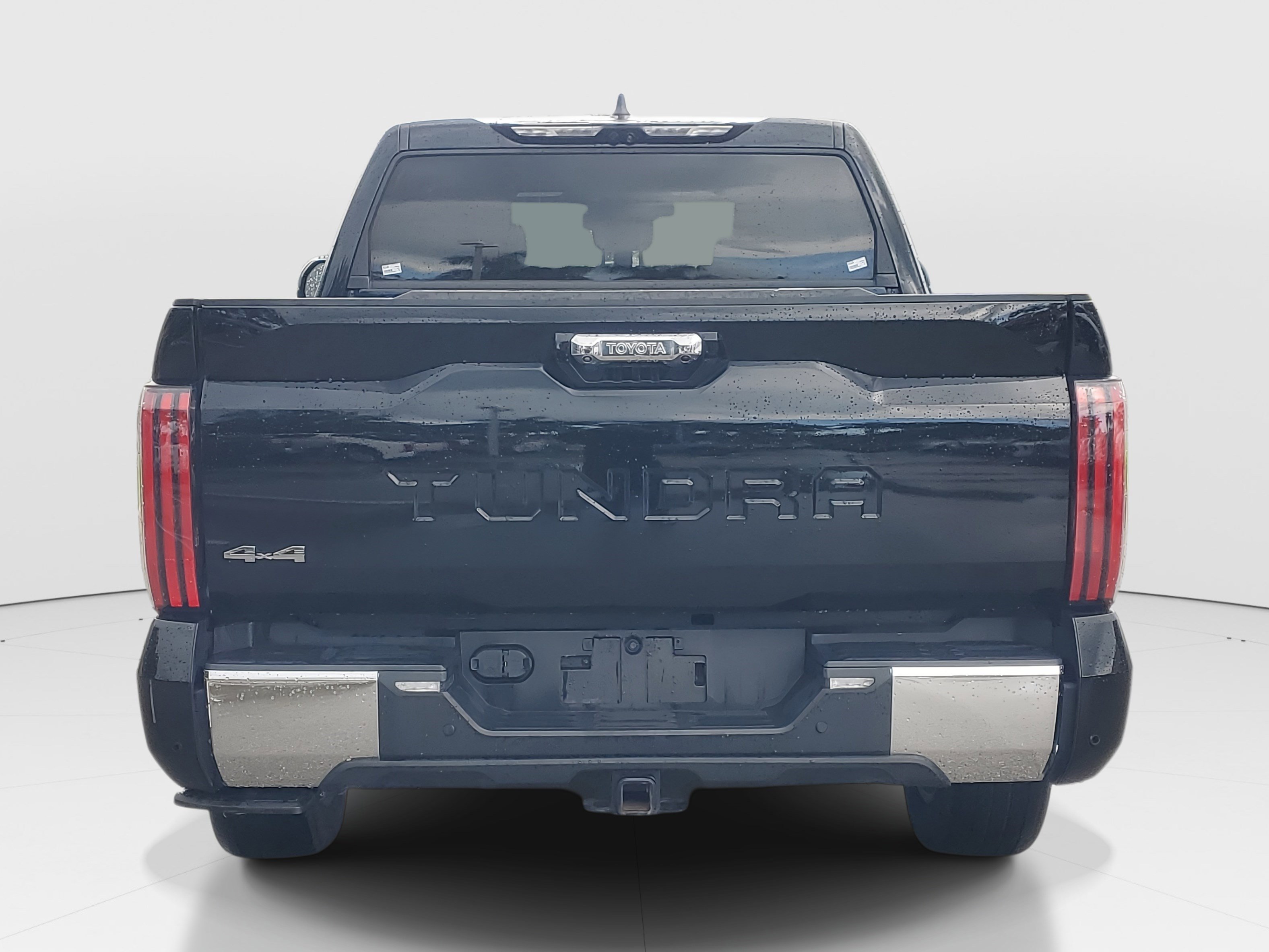 2024 Toyota Tundra 1794 Edition photo 6