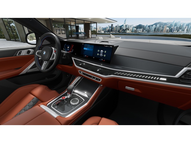 2026 Bmw X6 photo 13