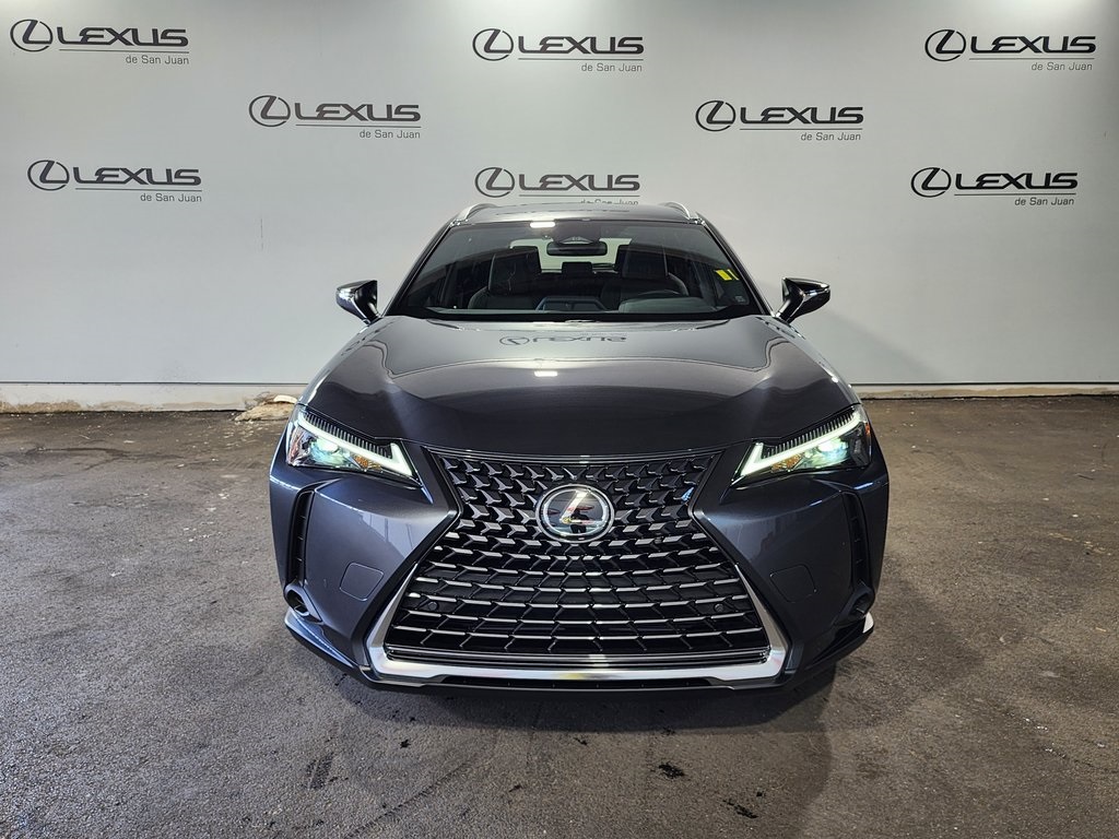 2025 Lexus UX photo 2