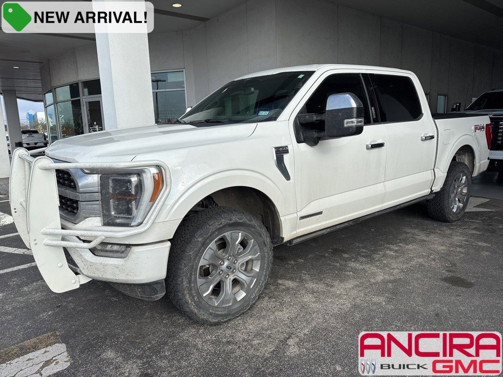 2021 Ford F-150 Platinum's photo