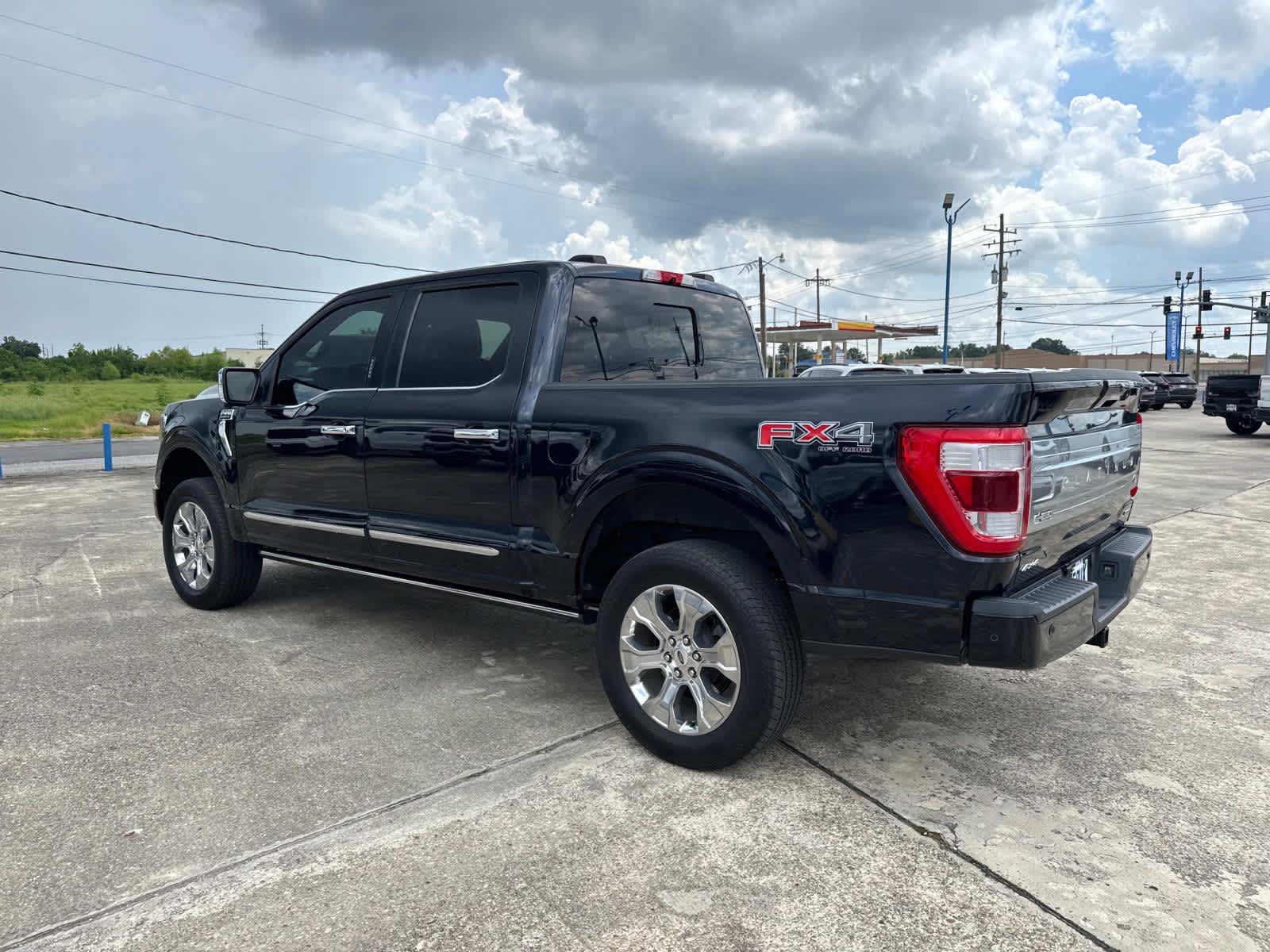 2021 Ford F-150 Platinum photo 14