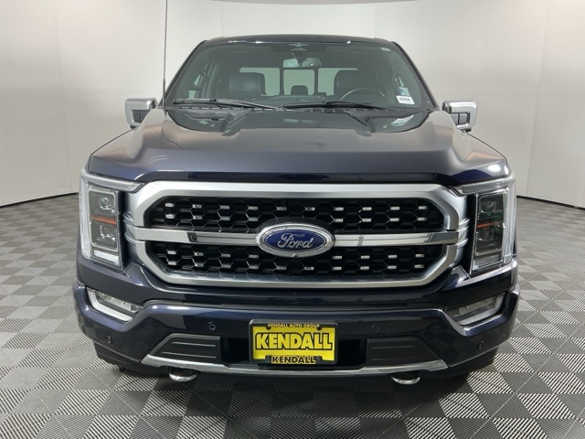 2023 Ford F-150 Platinum photo 2