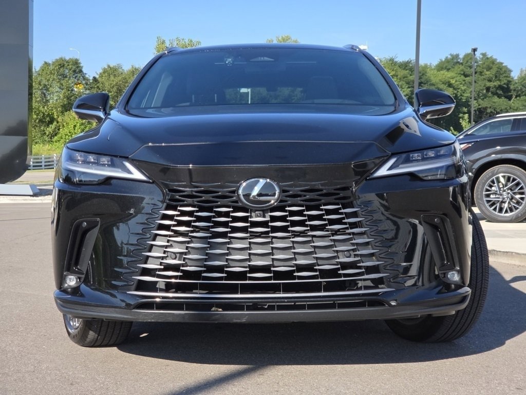 2024 Lexus RX 350 Luxury photo 3