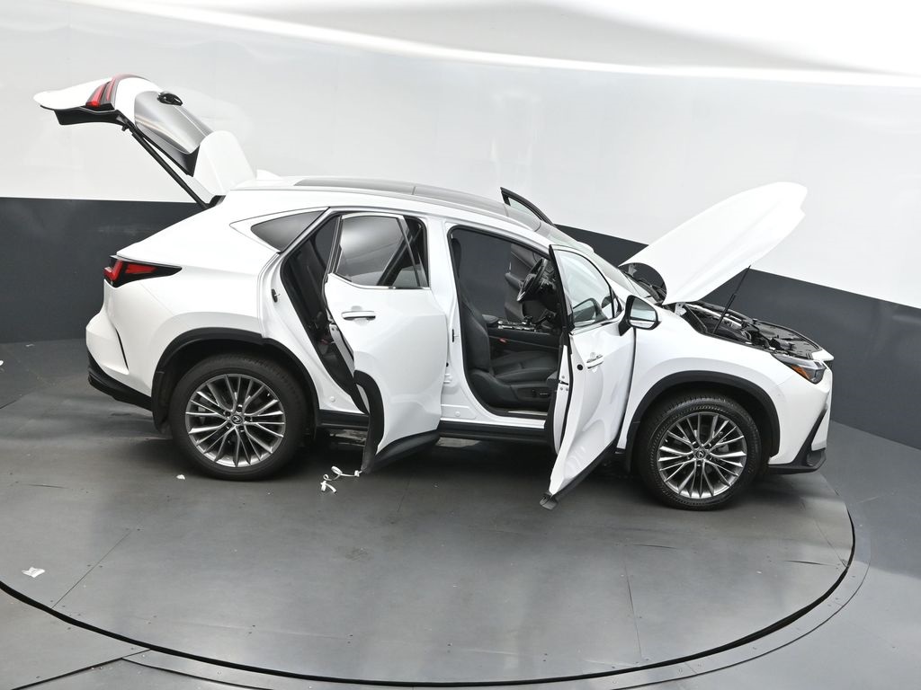 2023 Lexus NX 350 Luxury photo 47