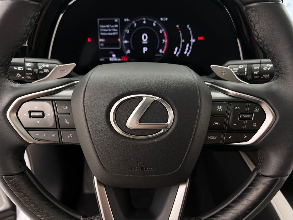 2024 Lexus RX 350 Premium photo 17
