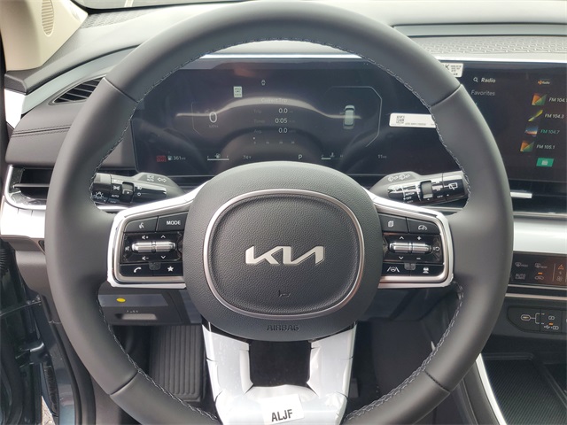 2026 Kia Carnival SX photo 16