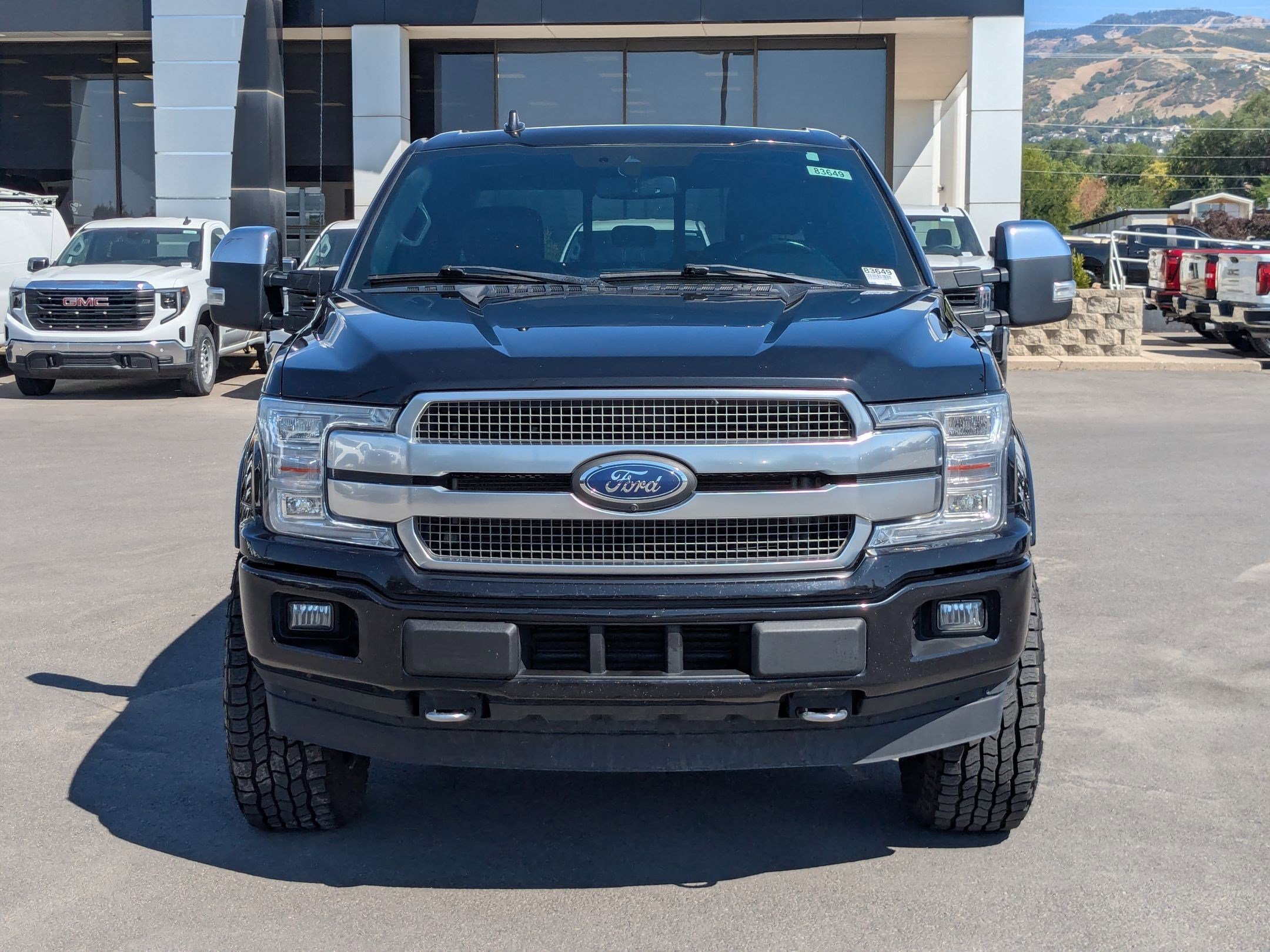 2020 Ford F-150 Platinum photo 8