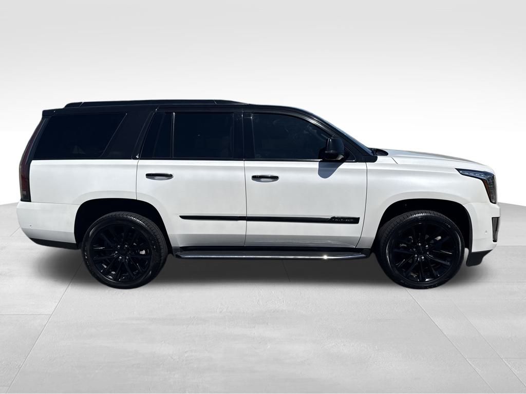 2018 Cadillac Escalade Luxury photo 6