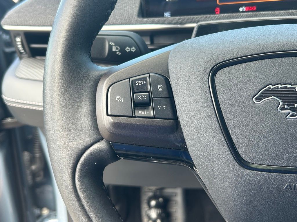 2023 Ford Mustang Mach-E Premium photo 34