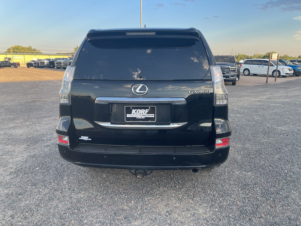 2019 Lexus GX 460 Luxury photo 6