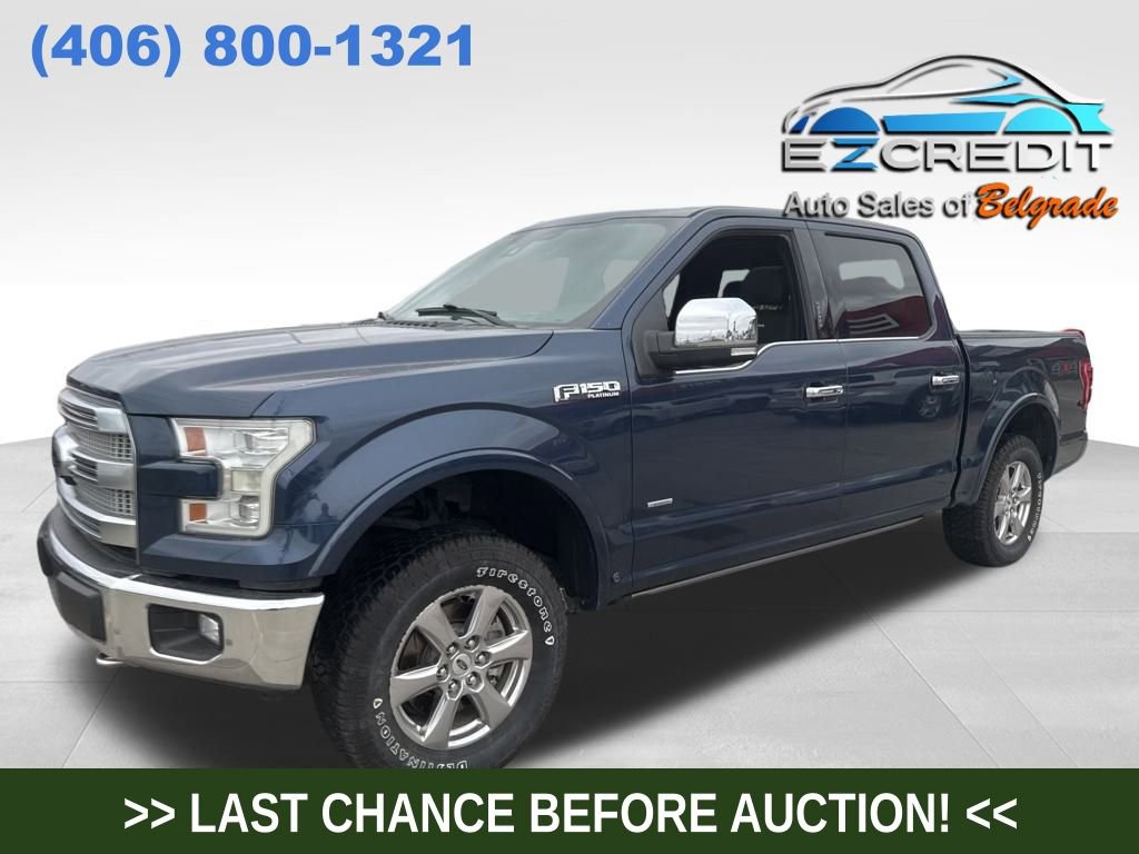 2015 Ford F-150 Platinum's photo