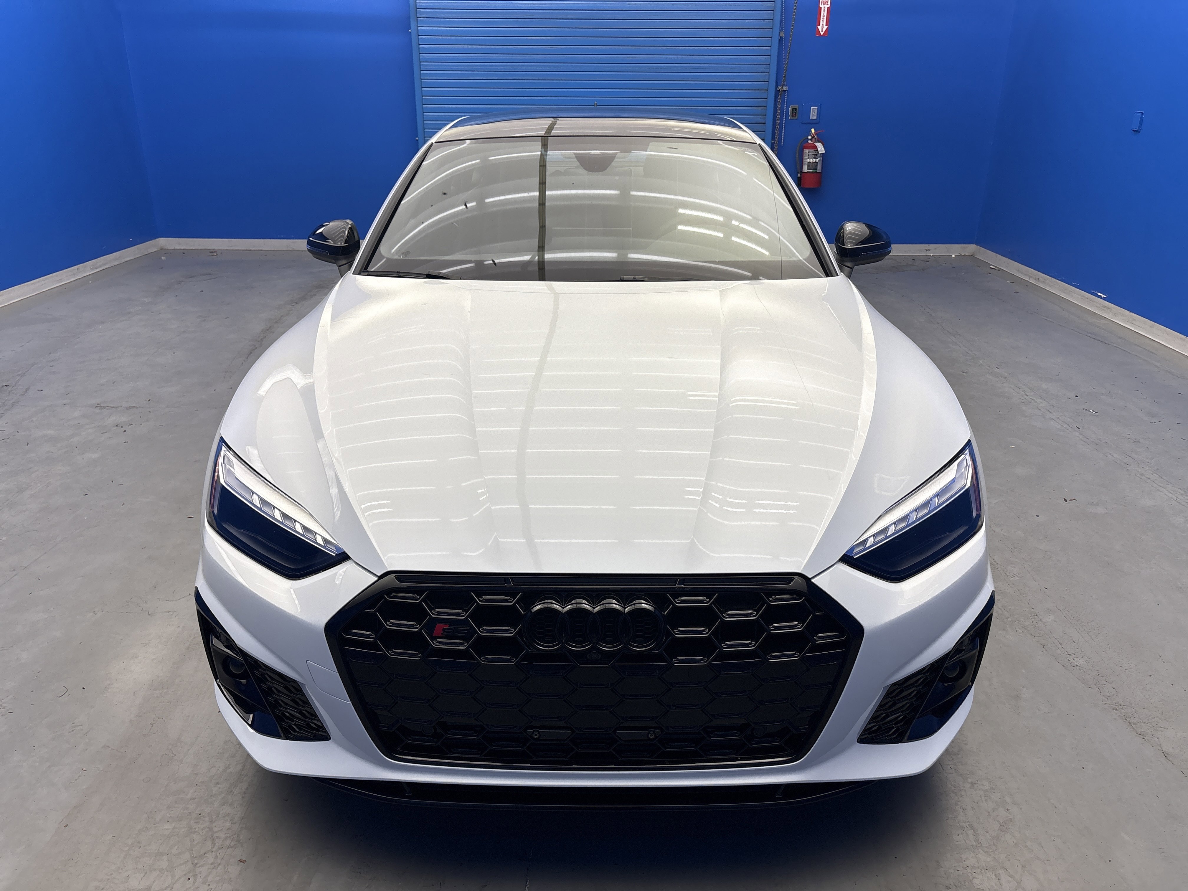 2024 Audi S5 Premium Plus photo 3