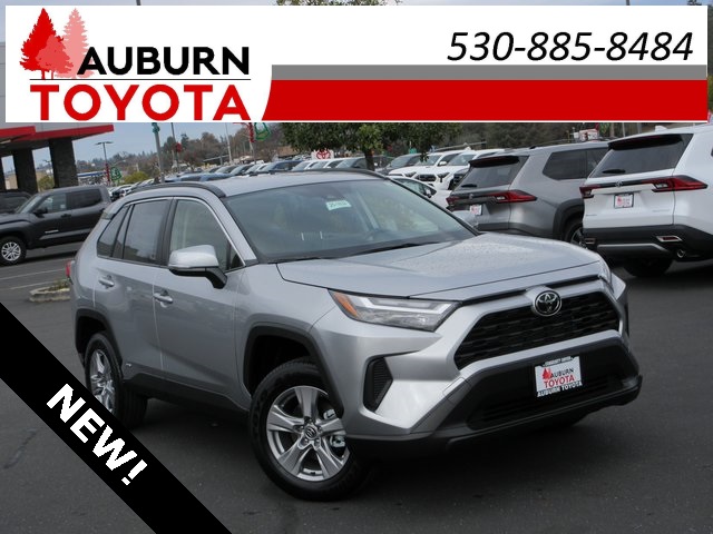 2025 Toyota RAV4 XLE's photo