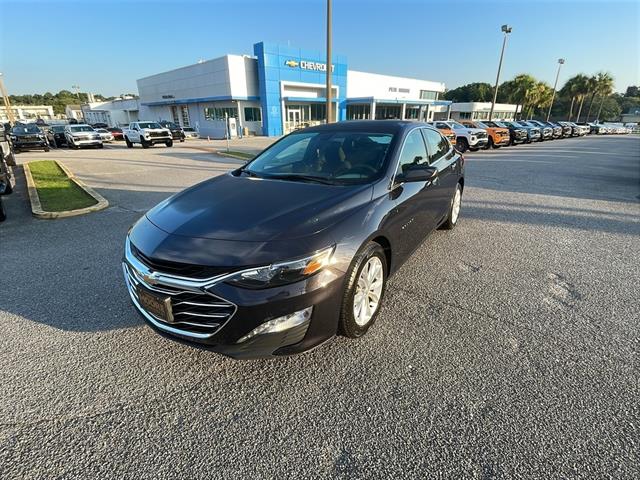 2023 Chevrolet Malibu 1LT photo 3