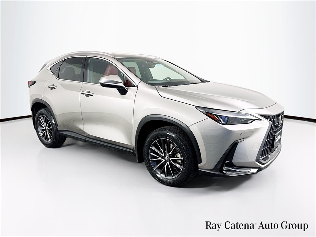 2024 Lexus NX 350's photo