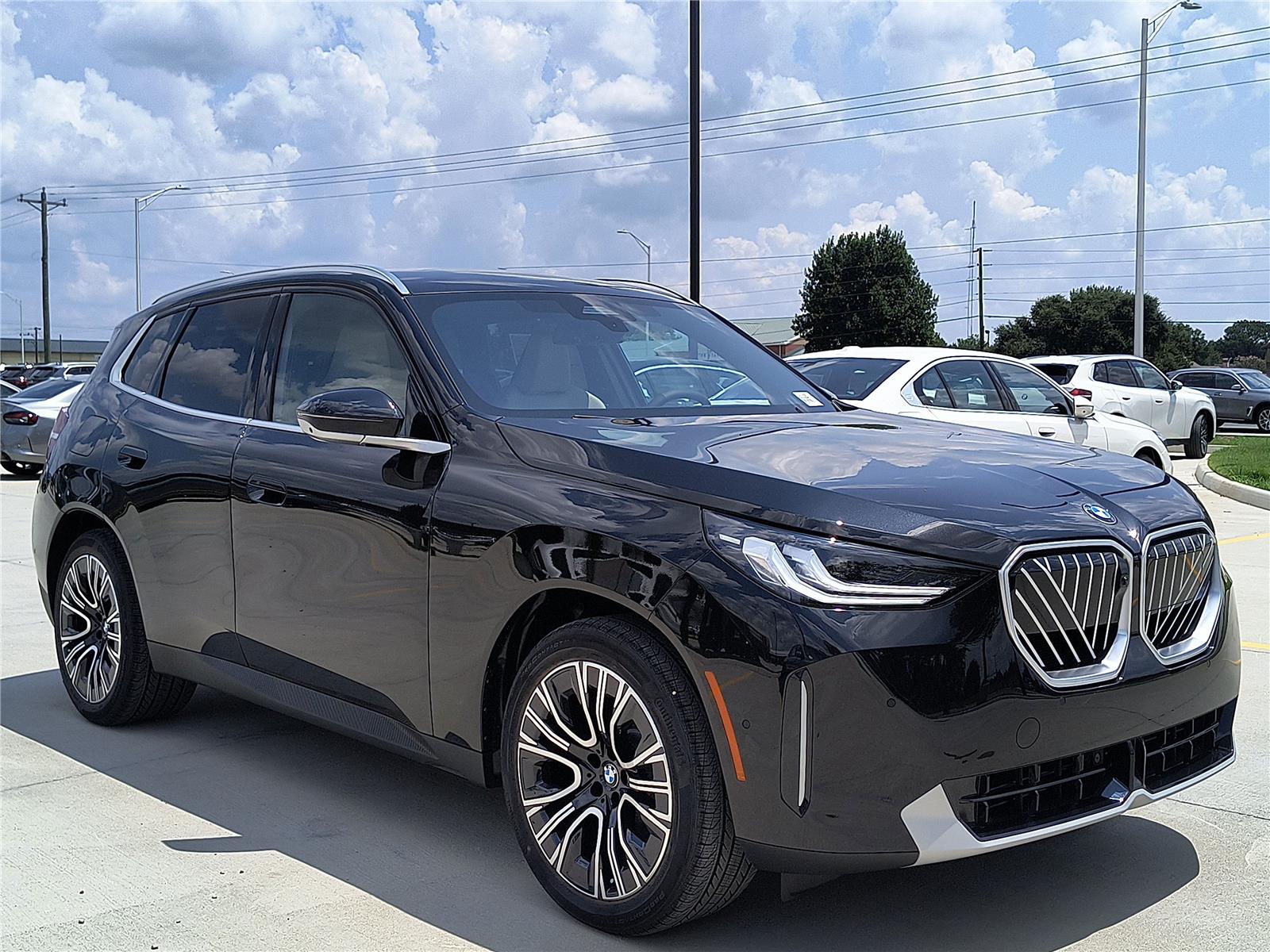 2025 Bmw X3 30x Drive photo 5