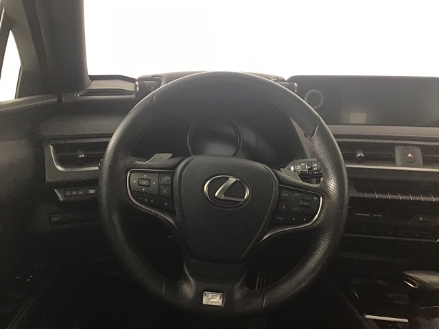 2021 Lexus UX 250h F SPORT photo 10