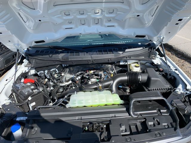2025 Ford F-150 STX photo 6