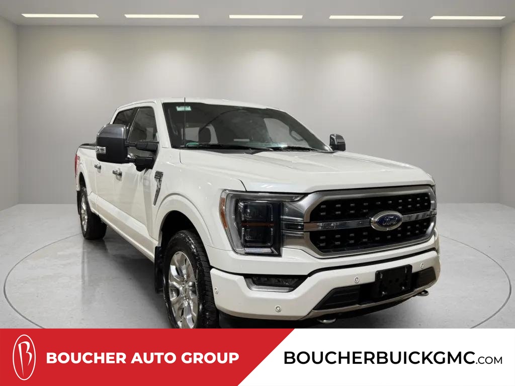 2023 Ford F-150 Platinum's photo