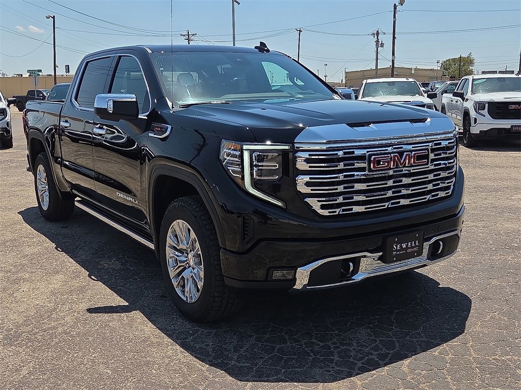 2025 Gmc Sierra 1500 Denali photo 6