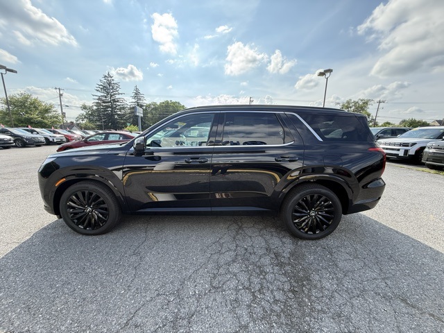 2025 Hyundai Palisade Calligraphy photo 6