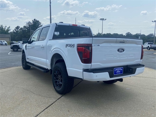 2025 Ford F-150 XLT photo 4