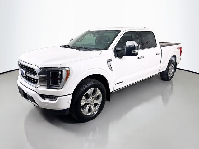 2021 Ford F-150 Platinum photo 3