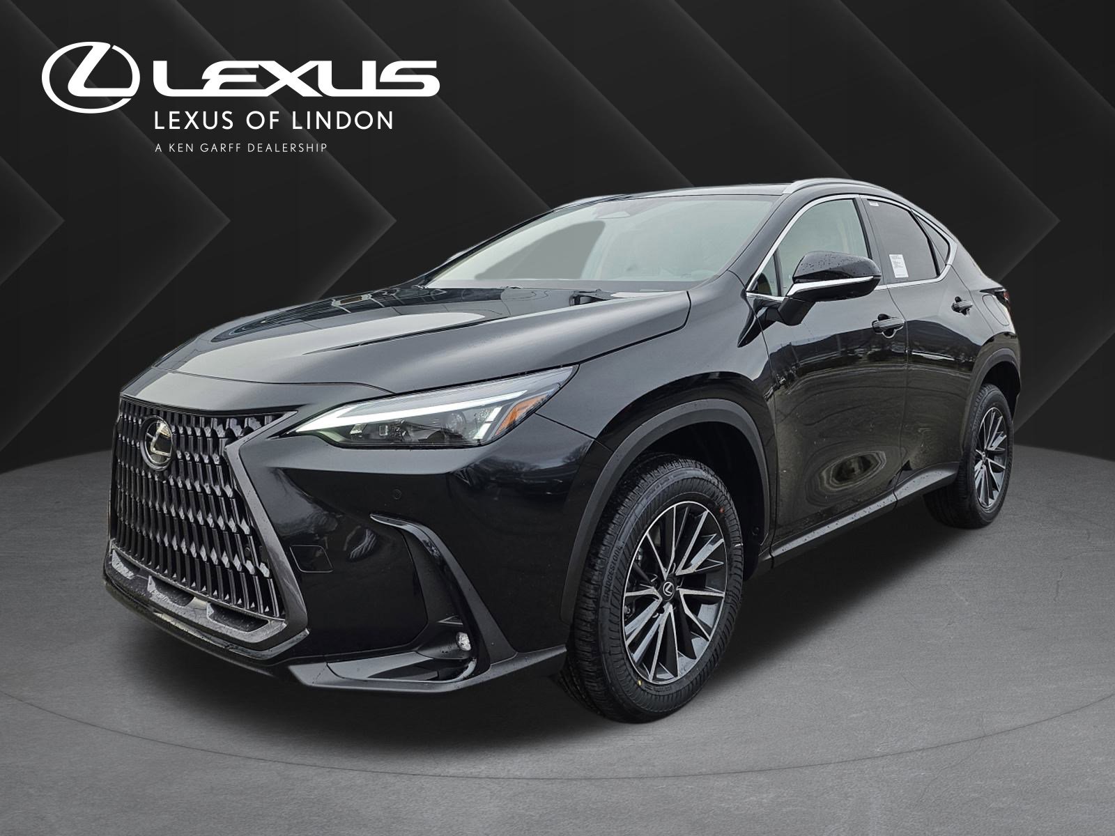 2026 Lexus NX 350's photo