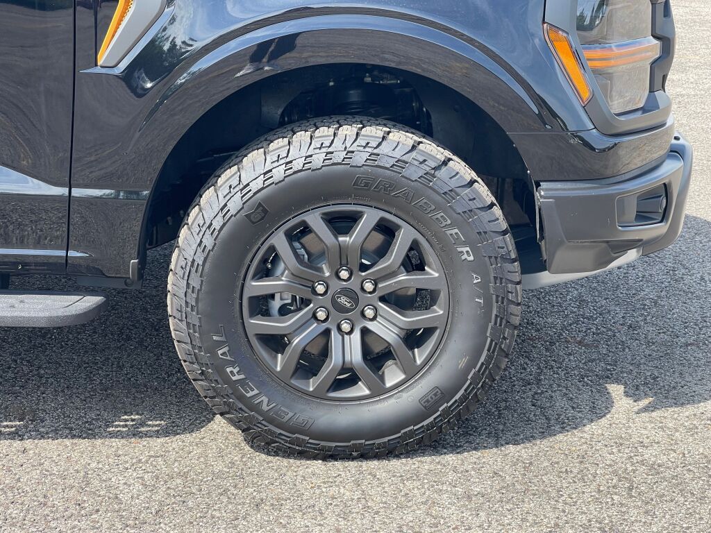 2025 Ford F-150 Tremor photo 17