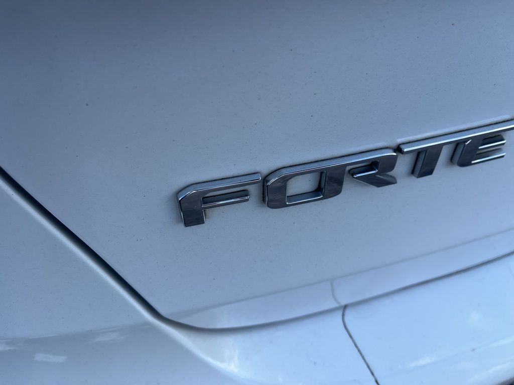 2015 Kia Forte LX photo 5