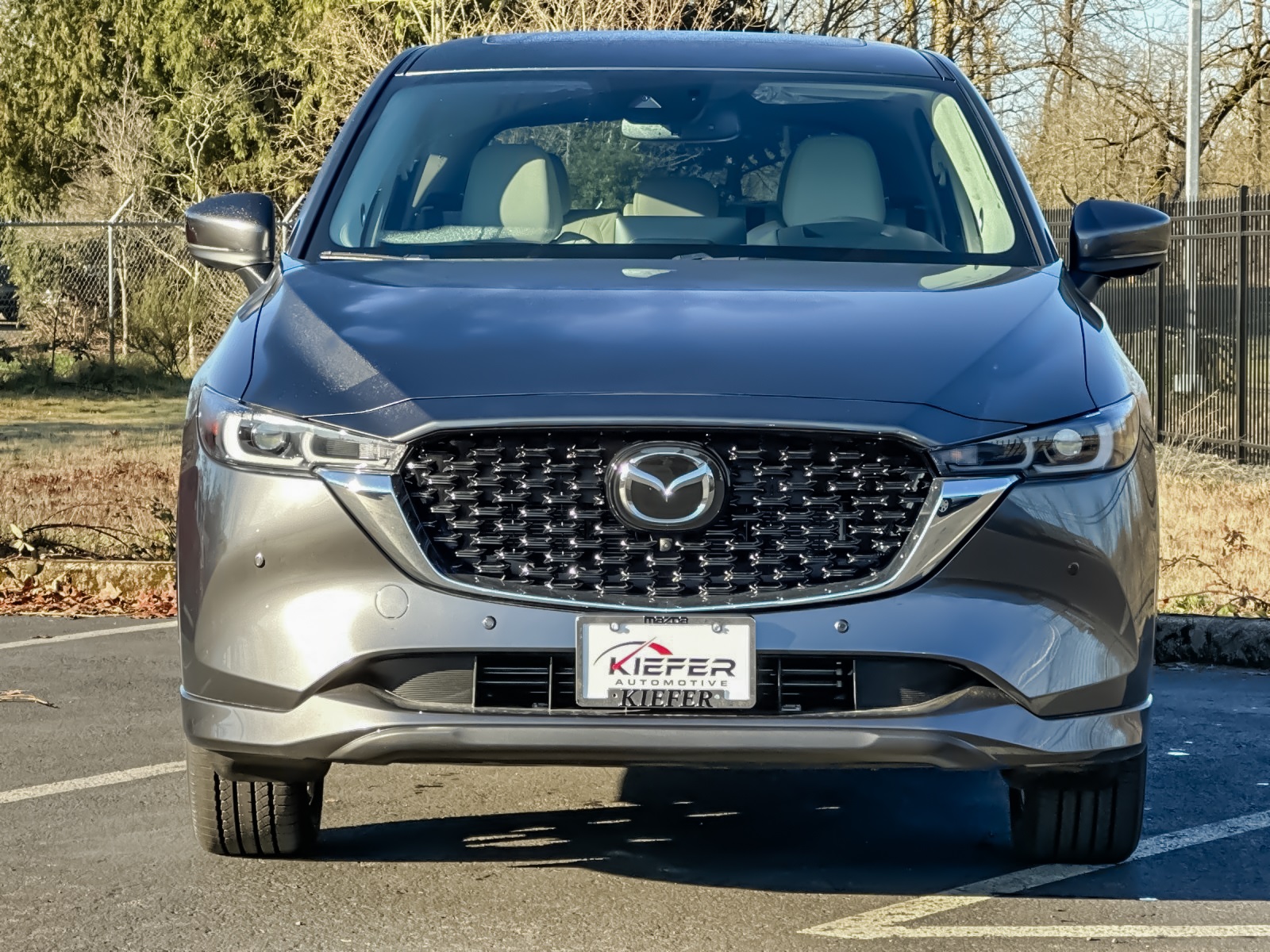 2025 Mazda CX-5 2.5 Premium Plus photo 8