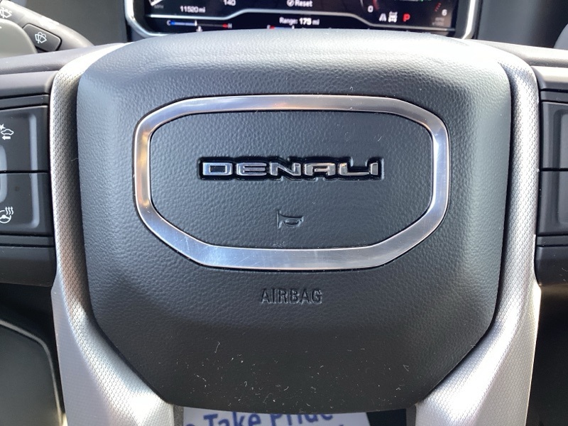 2024 Gmc Sierra 1500 Denali photo 28