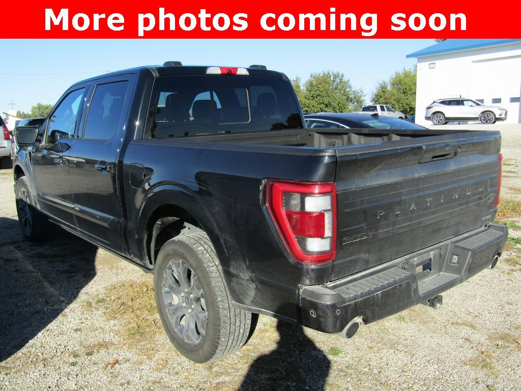 2023 Ford F-150 XL photo 3