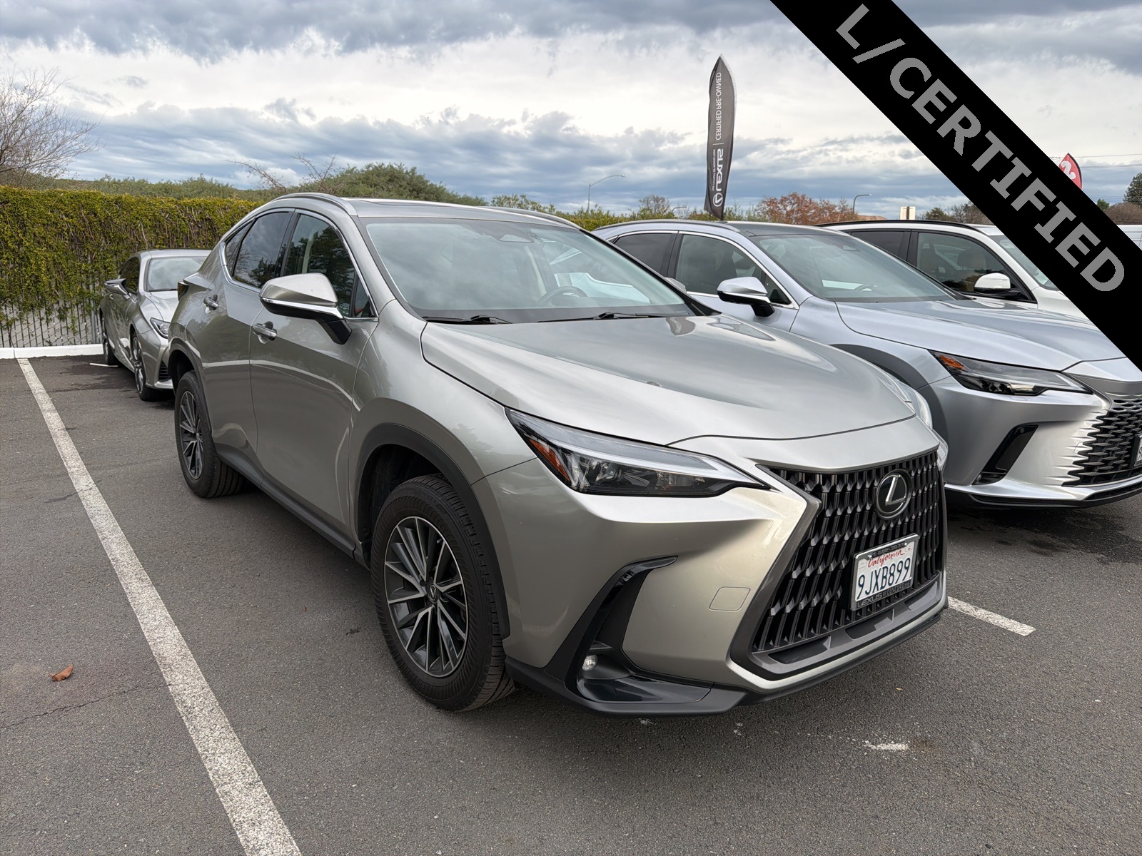 2024 Lexus NX 350's photo