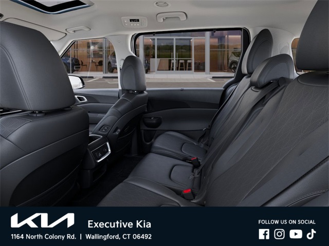 2025 Kia Carnival SX photo 18