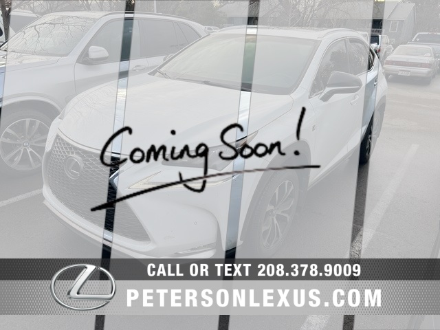 2017 Lexus NX F Sport's photo