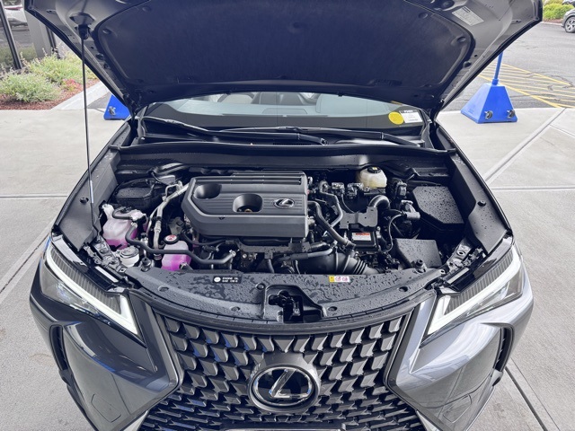 2025 Lexus UX Premium photo 10