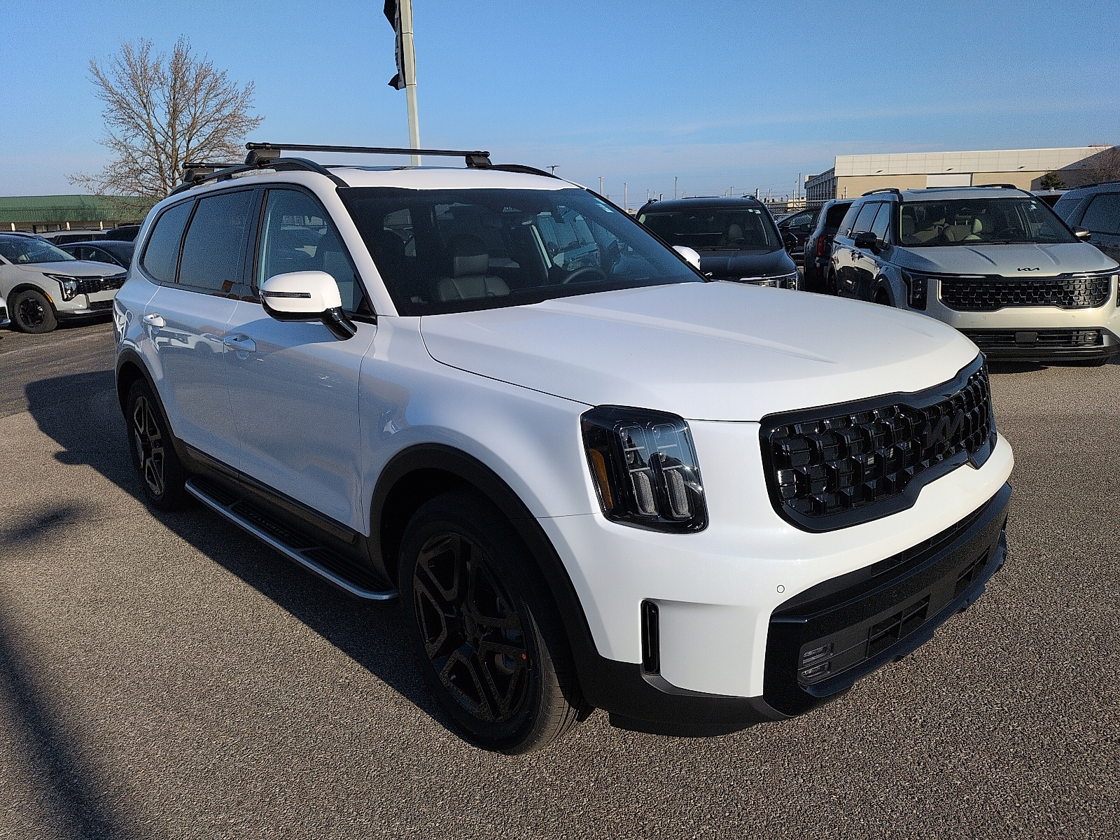 2025 Kia Telluride SX Prestige X-Line's photo