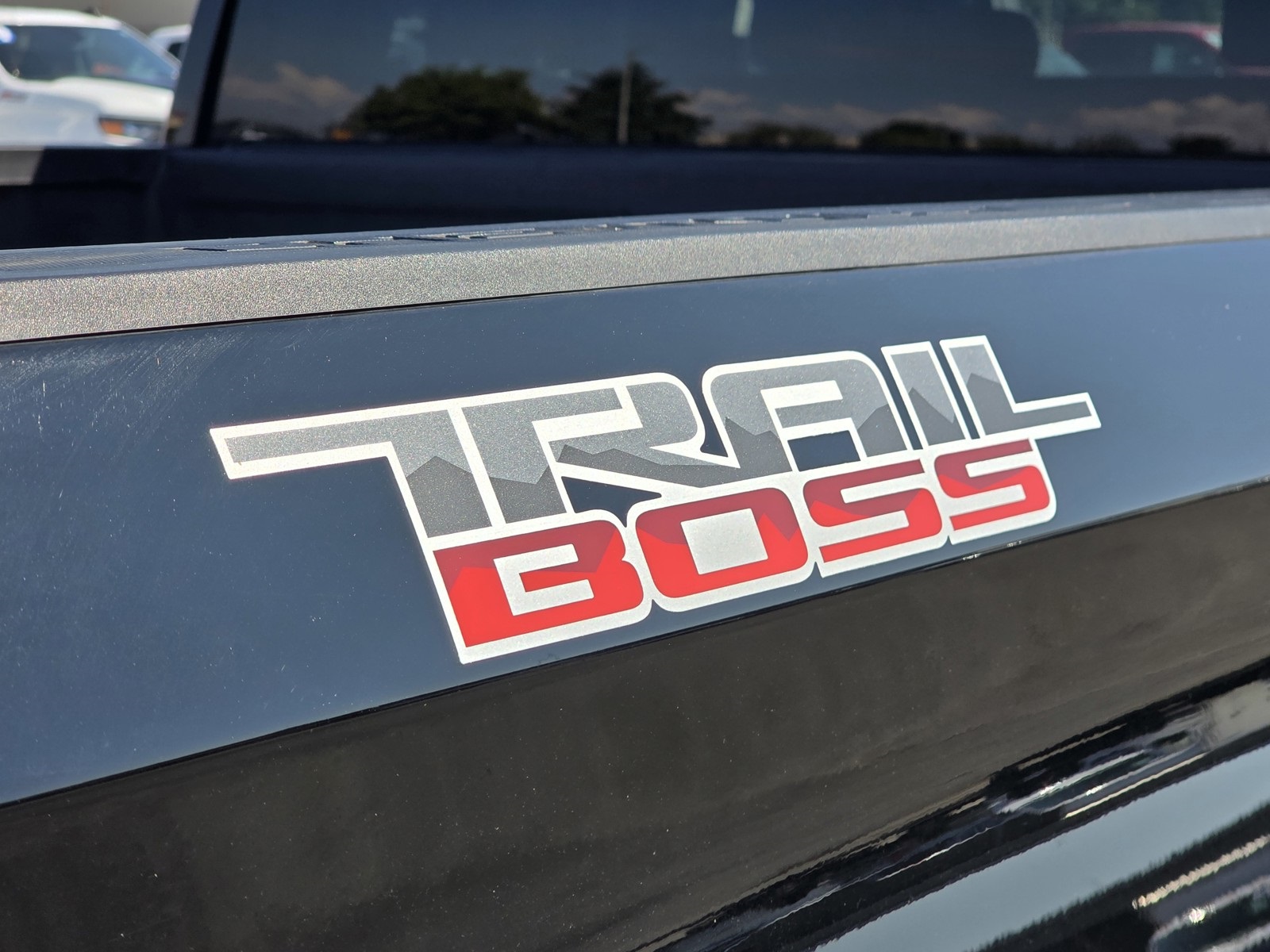 2019 Chevrolet Silverado 1500 Custom Trail Boss photo 13