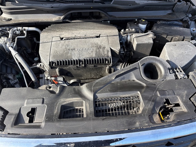 2025 Honda Pilot Elite photo 4