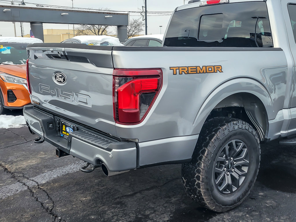 2025 FORD F-150 - Image 6