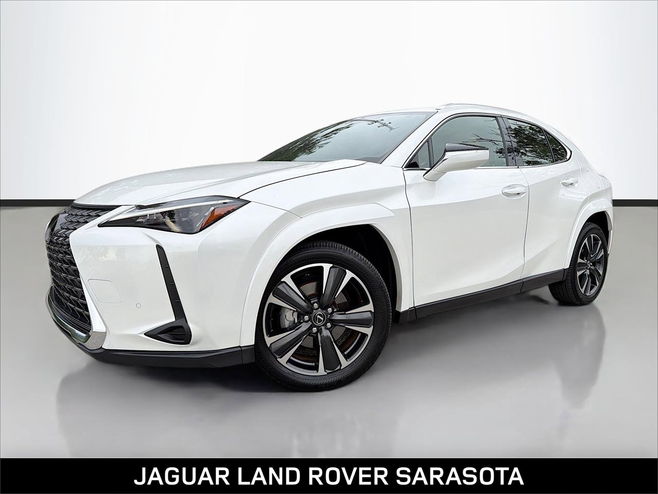 2025 Lexus UX Hybrid 300h Premium's photo