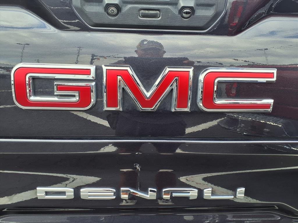 2022 Gmc Sierra 1500 Denali photo 3